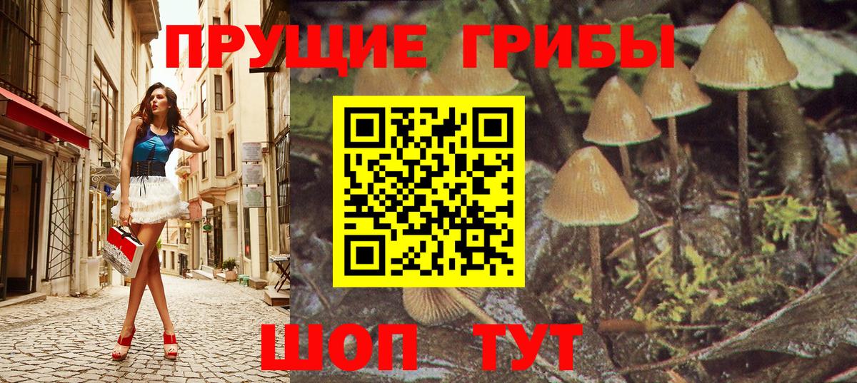Тамбов  Псилоцибиновые грибы Psilocybe  Вход с VPN 