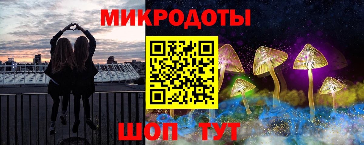 Псилоцибиновые грибы Psilocybine cubensis Тамбов