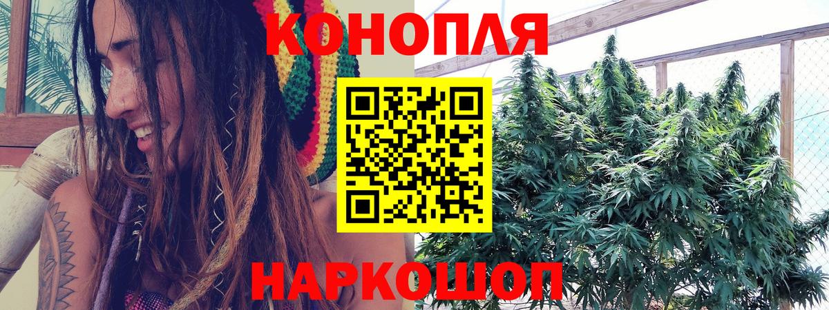 Конопля SATIVA & INDICA Тамбов